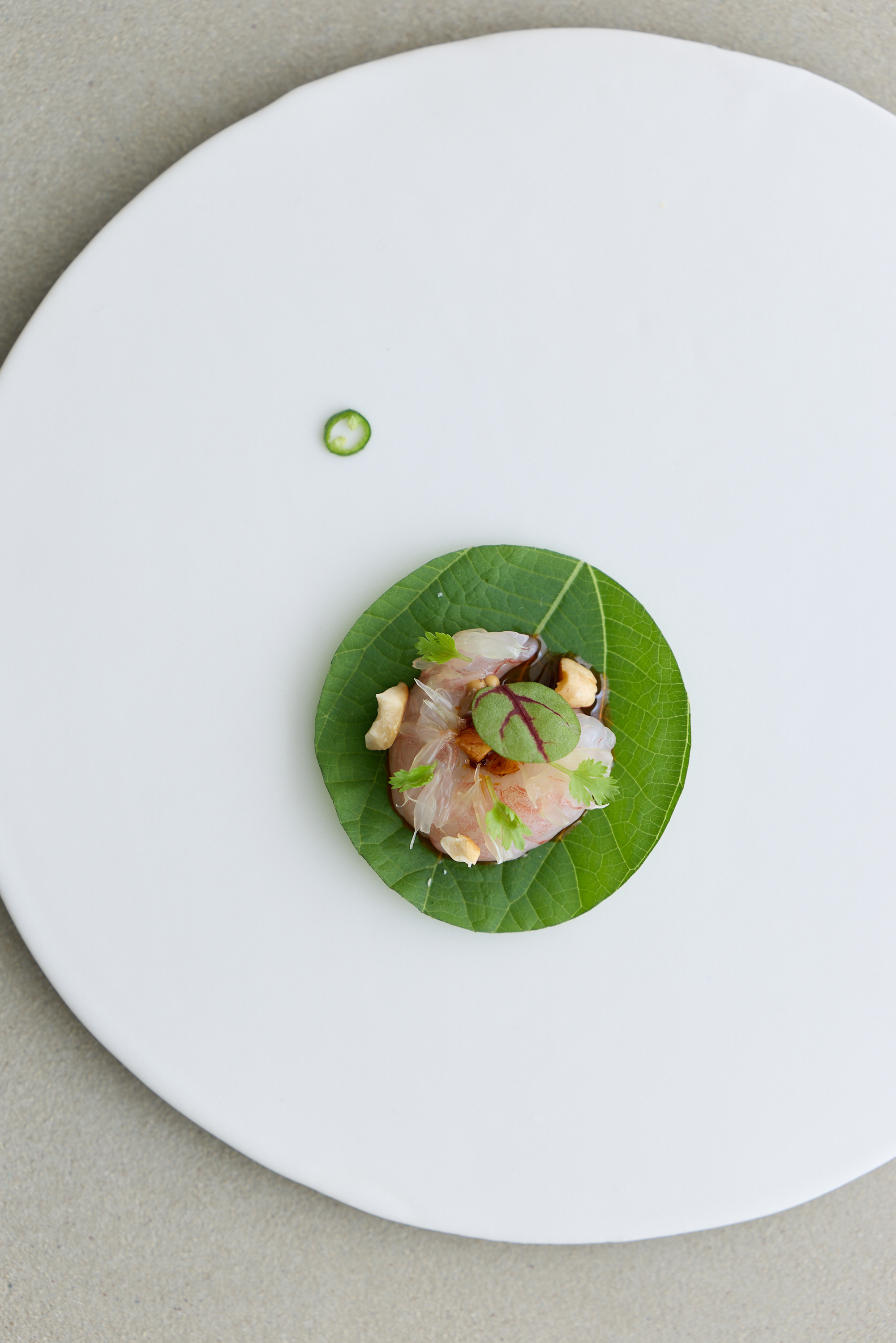 Artfully plated fusion cuisine